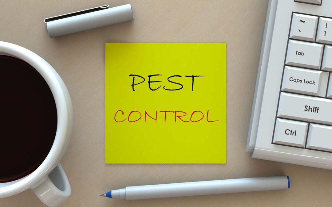 9 Common Pests and the Diseases and Illnesses They Can Cause