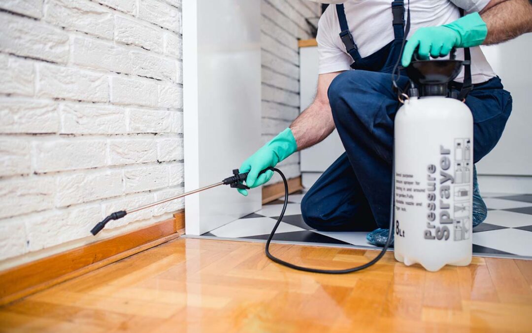 The Cost of Pest Control Services in Folsom, CA