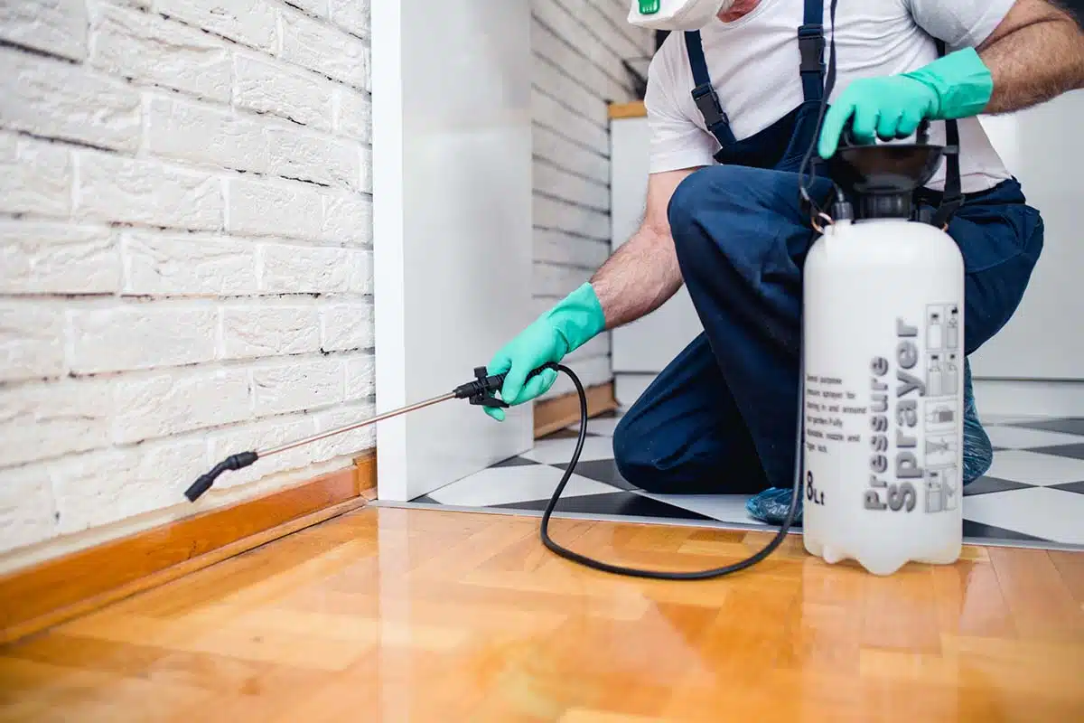 The Cost of Pest Control Services in Folsom, CA