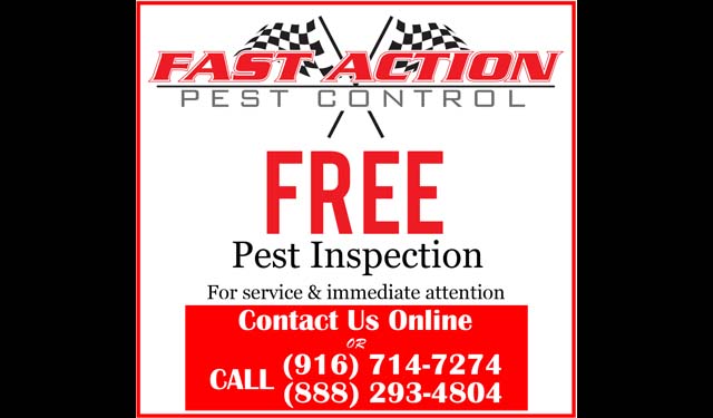 Free Inspection - Fast Action Pest Control, Elk Grove Pest Control, Sacramento Pest Control