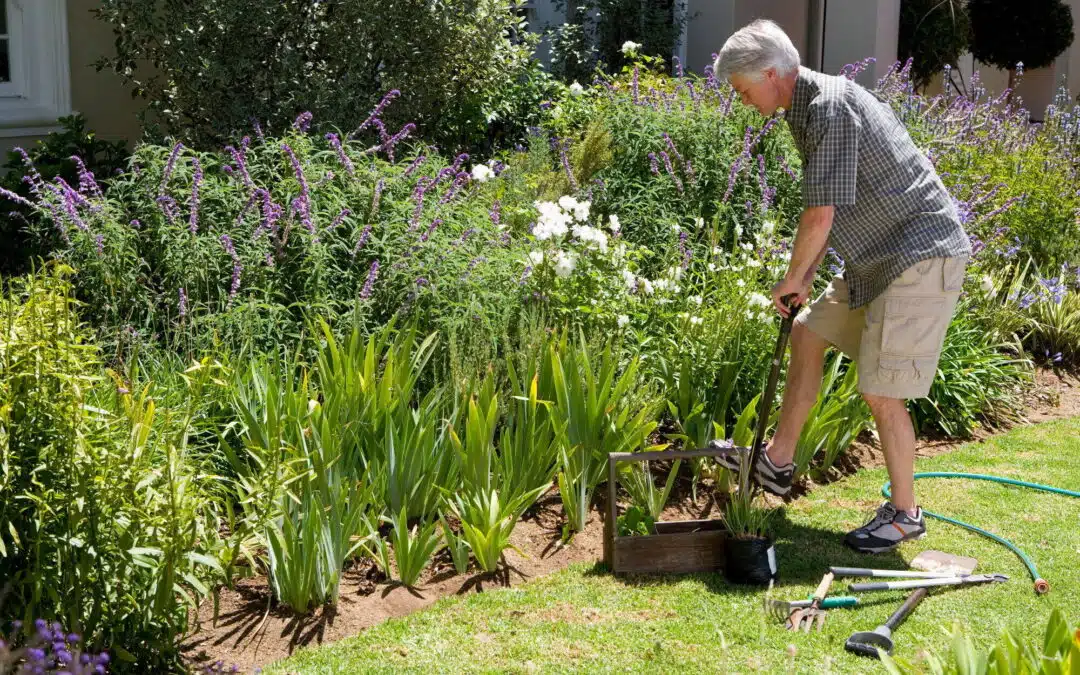 Yard Pest Control: A Sacramento Homeowner’s Guide to a Pest-Free Backyard