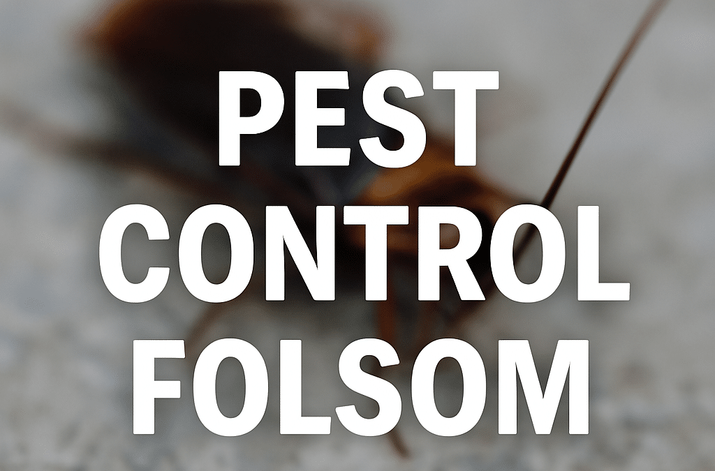 Pest Control in Folsom: What to Do When Pests Strike